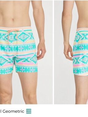 chubbies en fuegos Turquoise Geometric Swim Trunks with Pastel Accents 0504